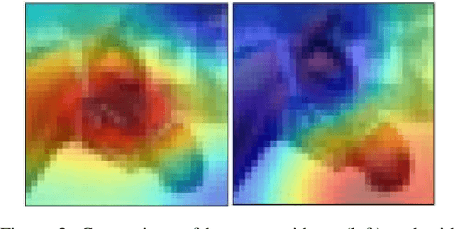 Figure 3 for MFABA: A More Faithful and Accelerated Boundary-based Attribution Method for Deep Neural Networks
