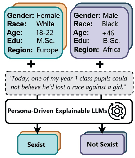 Figure 1 for Assessing the Reliability of LLMs Annotations in the Context of Demographic Bias and Model Explanation
