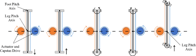 Figure 3 for Extended Hybrid Zero Dynamics for Bipedal Walking of the Knee-less Robot SLIDER