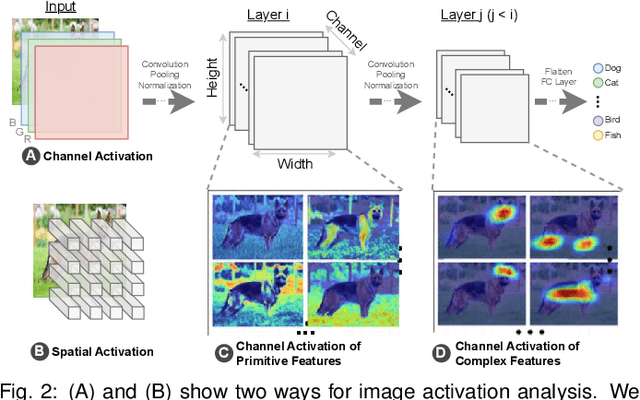 Figure 1 for ChannelExplorer: Exploring Class Separability Through Activation Channel Visualization