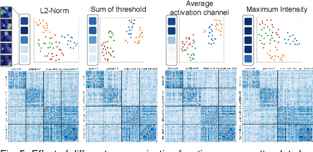 Figure 4 for ChannelExplorer: Exploring Class Separability Through Activation Channel Visualization