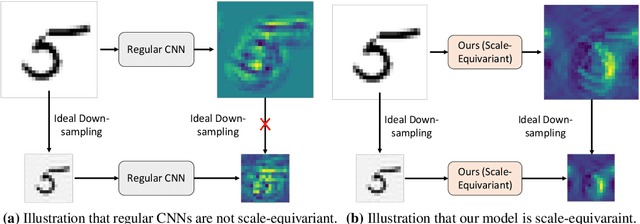 Figure 1 for Truly Scale-Equivariant Deep Nets with Fourier Layers