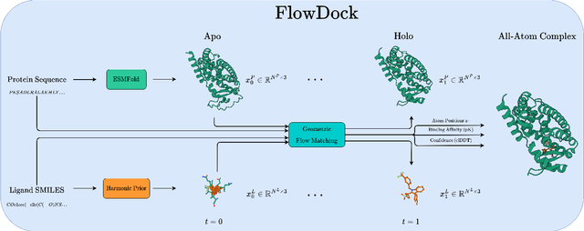Figure 1 for FlowDock: Geometric Flow Matching for Generative Protein-Ligand Docking and Affinity Prediction