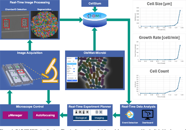 Figure 2 for EAP4EMSIG -- Enhancing Event-Driven Microscopy for Microfluidic Single-Cell Analysis