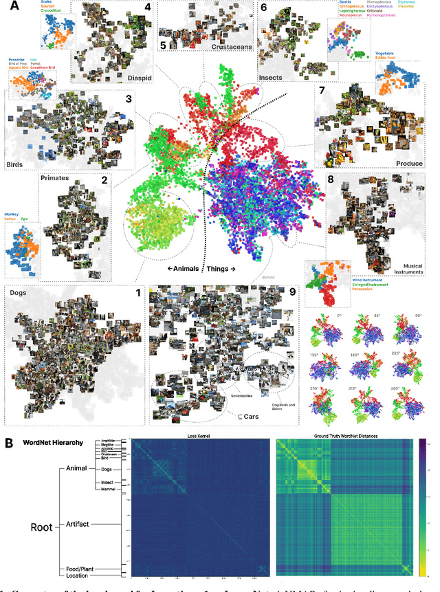 Figure 1 for The Loss Kernel: A Geometric Probe for Deep Learning Interpretability