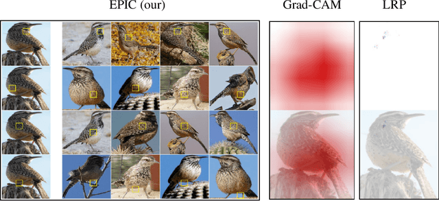 Figure 1 for EPIC: Explanation of Pretrained Image Classification Networks via Prototype
