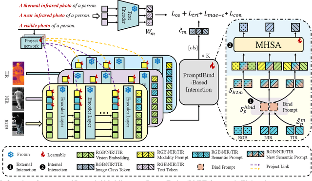 Figure 3 for DMPT: Decoupled Modality-aware Prompt Tuning for Multi-modal Object Re-identification