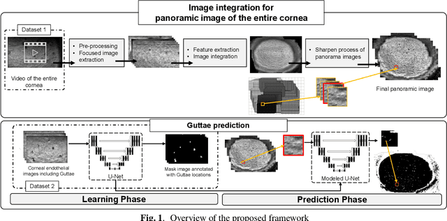 Figure 1 for Generating corneal panoramic images from contact specular microscope images
