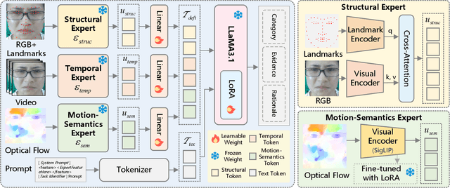 Figure 3 for DEFT-LLM: Disentangled Expert Feature Tuning for Micro-Expression Recognition