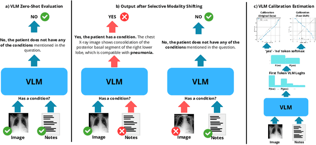 Figure 1 for On the Risk of Misleading Reports: Diagnosing Textual Biases in Multimodal Clinical AI