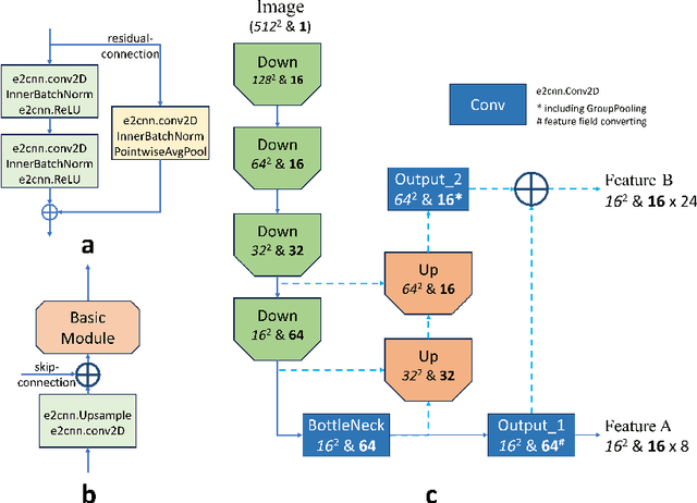 Figure 1 for RoTIR: Rotation-Equivariant Network and Transformers for Fish Scale Image Registration