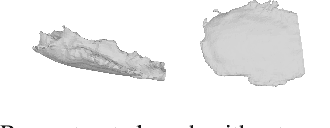 Figure 1 for FoodTrack: Estimating Handheld Food Portions with Egocentric Video