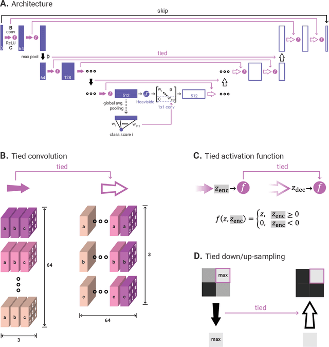 Figure 1 for Model Guidance via Explanations Turns Image Classifiers into Segmentation Models