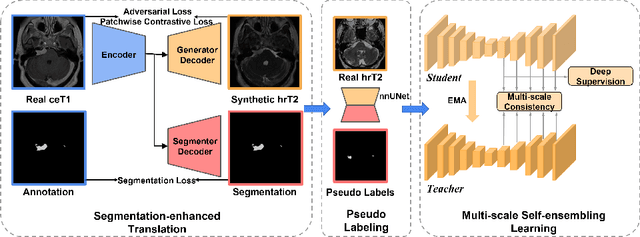 Figure 1 for MS-MT: Multi-Scale Mean Teacher with Contrastive Unpaired Translation for Cross-Modality Vestibular Schwannoma and Cochlea Segmentation