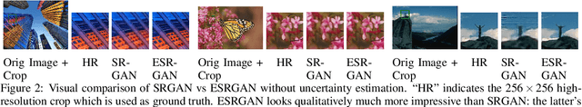 Figure 3 for Uncertainty Estimation for Super-Resolution using ESRGAN