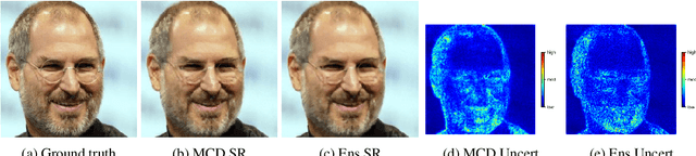 Figure 4 for Uncertainty Estimation for Super-Resolution using ESRGAN