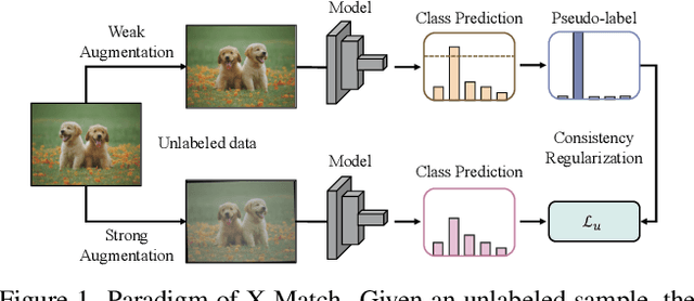 Figure 1 for CGMatch: A Different Perspective of Semi-supervised Learning