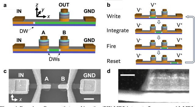Figure 1 for Domain Wall Magnetic Tunnel Junction Reliable Integrate and Fire Neuron