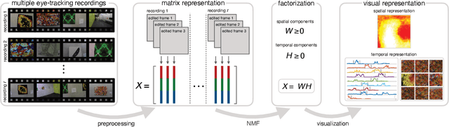 Figure 2 for NMF-Based Analysis of Mobile Eye-Tracking Data