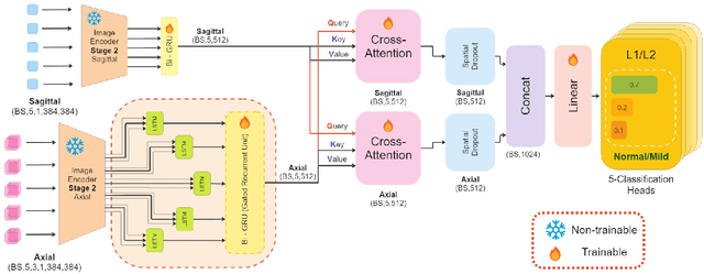 Figure 3 for M-SCAN: A Multistage Framework for Lumbar Spinal Canal Stenosis Grading Using Multi-View Cross Attention