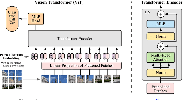 Figure 3 for Integrating Vision and Location with Transformers: A Multimodal Deep Learning Framework for Medical Wound Analysis