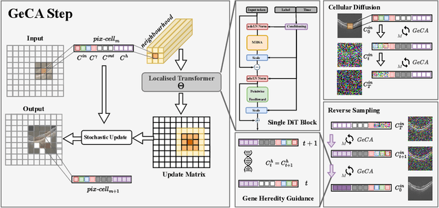 Figure 2 for An Organism Starts with a Single Pix-Cell: A Neural Cellular Diffusion for High-Resolution Image Synthesis