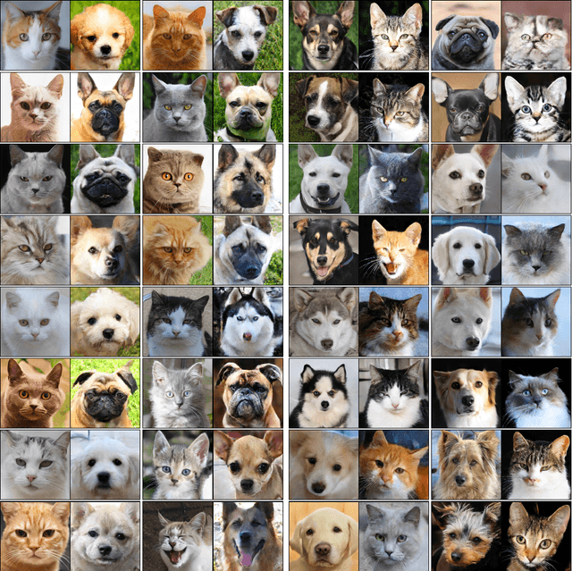 Figure 3 for Incorporating Pre-trained Diffusion Models in Solving the Schrödinger Bridge Problem