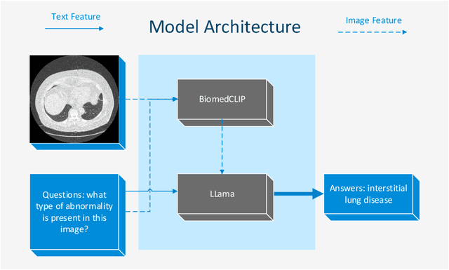 Figure 1 for A Lightweight Large Vision-language Model for Multimodal Medical Images