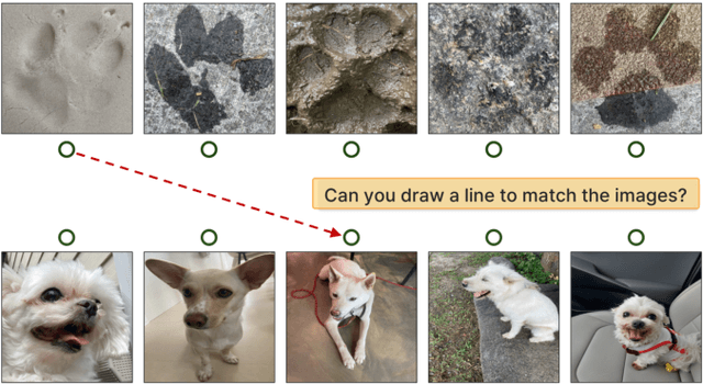 Figure 1 for PawPrint: Whose Footprints Are These? Identifying Animal Individuals by Their Footprints