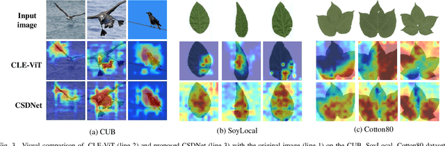 Figure 3 for Learning Contrastive Self-Distillation for Ultra-Fine-Grained Visual Categorization Targeting Limited Samples