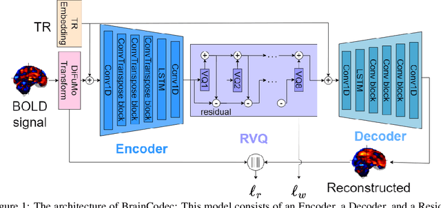 Figure 1 for BrainCodec: Neural fMRI codec for the decoding of cognitive brain states