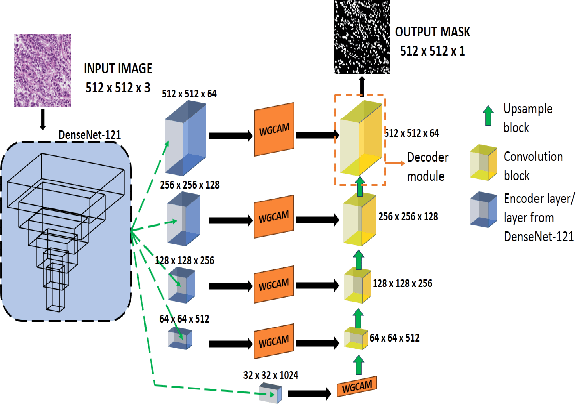 Figure 1 for AWGUNET: Attention-Aided Wavelet Guided U-Net for Nuclei Segmentation in Histopathology Images