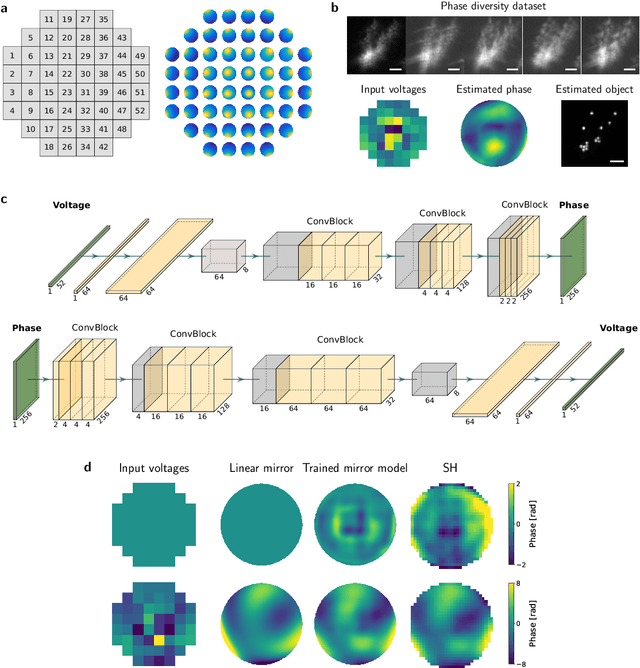 Figure 3 for DeepPD: Joint Phase and Object Estimation from Phase Diversity with Neural Calibration of a Deformable Mirror