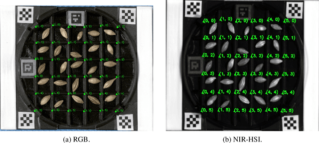 Figure 2 for A Time Series Dataset of NIR Spectra and RGB and NIR-HSI Images of the Barley Germination Process