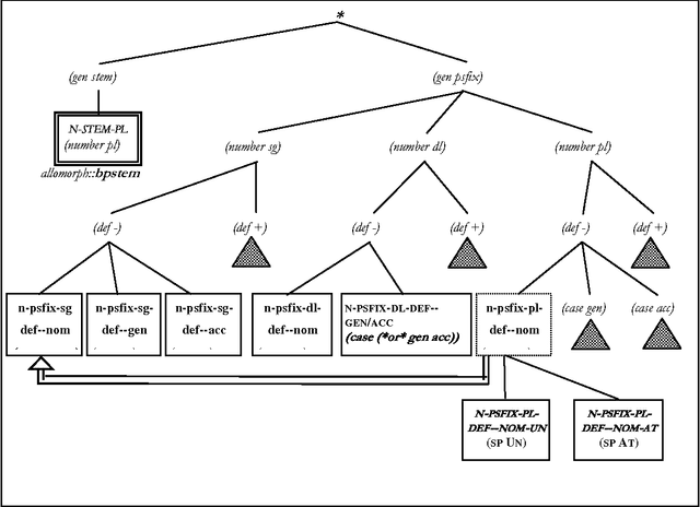 Figure 4 for The Arabic Noun System Generation
