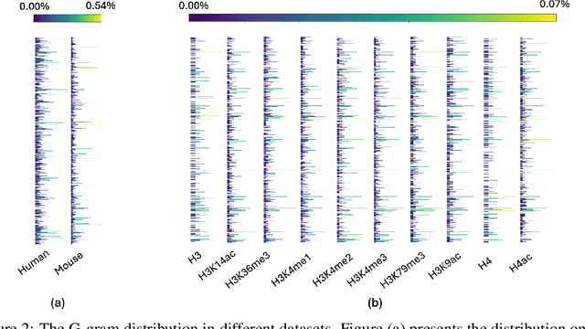 Figure 4 for DNAZEN: Enhanced Gene Sequence Representations via Mixed Granularities of Coding Units