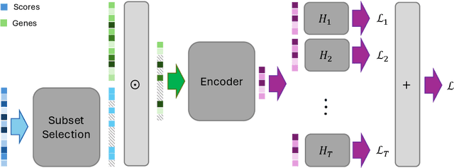 Figure 1 for You Only Train Once: Differentiable Subset Selection for Omics Data