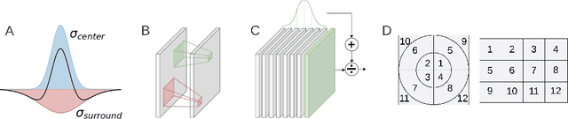 Figure 1 for Explaining V1 Properties with a Biologically Constrained Deep Learning Architecture