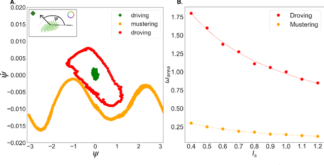 Figure 3 for Optimal shepherding and transport of a flock