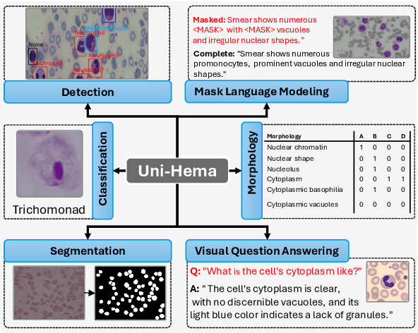 Figure 1 for Uni-Hema: Unified Model for Digital Hematopathology