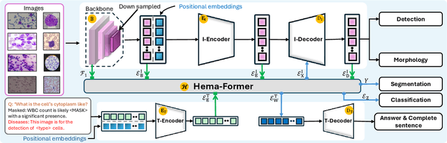 Figure 3 for Uni-Hema: Unified Model for Digital Hematopathology