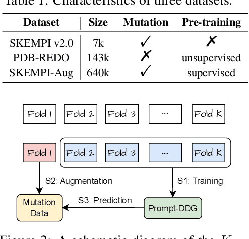 Figure 2 for A Simple yet Effective DDG Predictor is An Unsupervised Antibody Optimizer and Explainer
