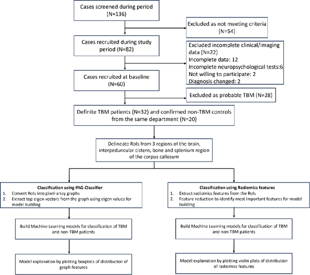 Figure 1 for Graph Classification and Radiomics Signature for Identification of Tuberculous Meningitis