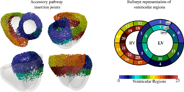 Figure 1 for Explainable Deep Learning-based Classification of Wolff-Parkinson-White Electrocardiographic Signals
