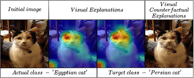 Figure 1 for From Visual Explanations to Counterfactual Explanations with Latent Diffusion
