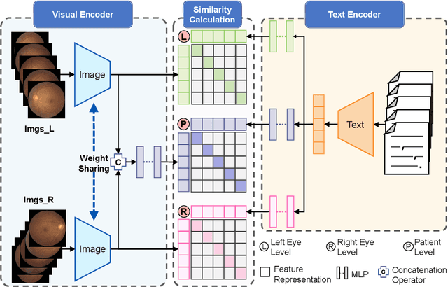 Figure 1 for RET-CLIP: A Retinal Image Foundation Model Pre-trained with Clinical Diagnostic Reports