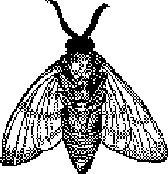 Figure 1 for Training Heterogeneous Client Models using Knowledge Distillation in Serverless Federated Learning