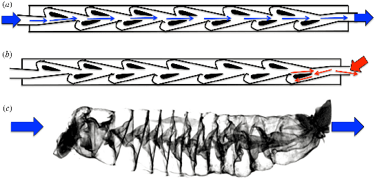 Figure 2 for Fluidic FlowBots: Intelligence embodied in the characteristics of recirculating fluid flow