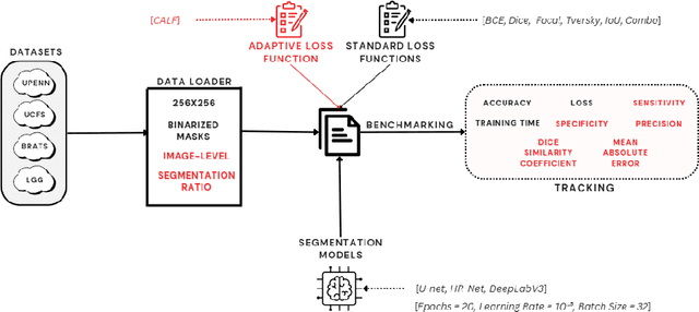 Figure 2 for CALF: A Conditionally Adaptive Loss Function to Mitigate Class-Imbalanced Segmentation