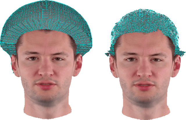 Figure 2 for PrismAvatar: Real-time animated 3D neural head avatars on edge devices